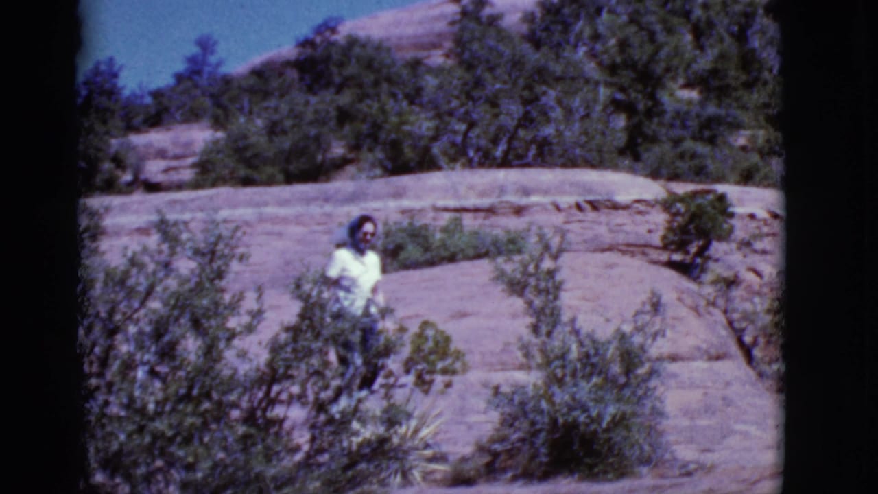 Woman in a white shirt partly hidden by shrubs on a sunlit rock path.