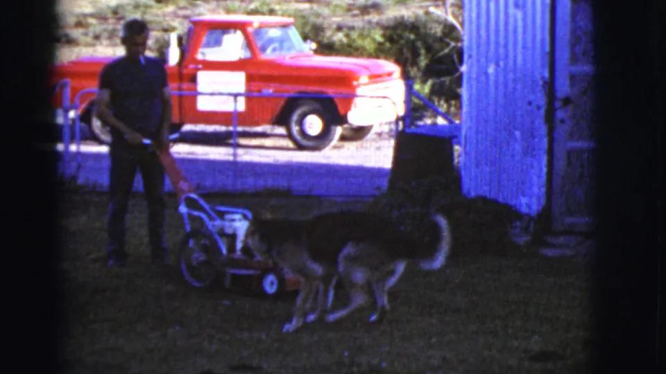 A dog moves beside the lawn mower as the man stands nearby, with a red pickup and blue shed behind them.