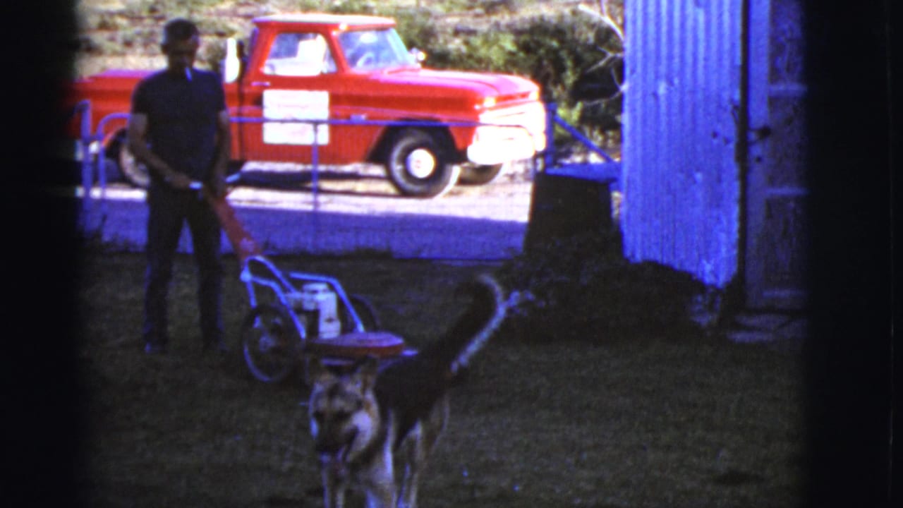 Man with red lawn mower as a German Shepherd approaches in a yard near a red pickup.
