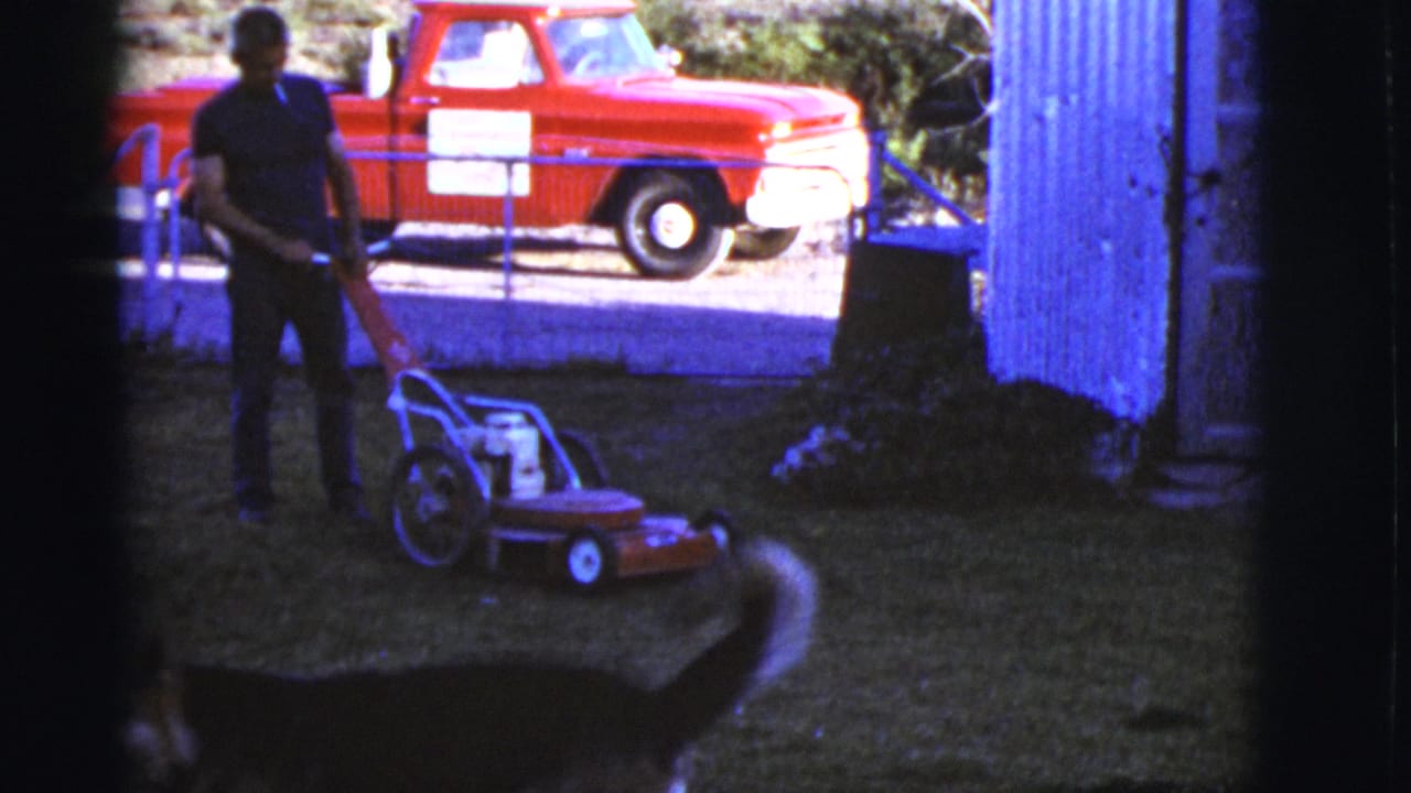 Dog crosses in front of a man standing with a red mower in a shaded yard.