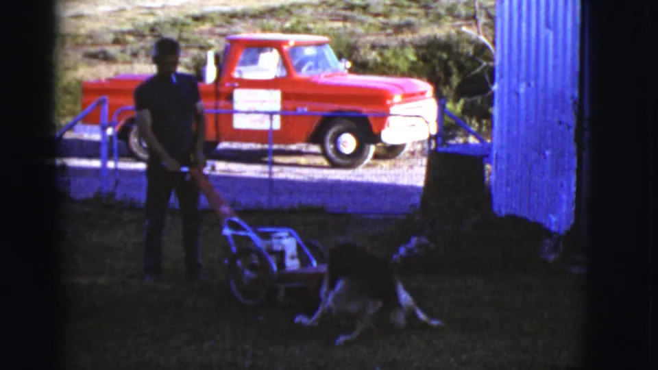 1968 Arizona 8mm frame showing the dog crouching or lunging near the red mower wheel as the man stands in shadow, with a red pickup in back.