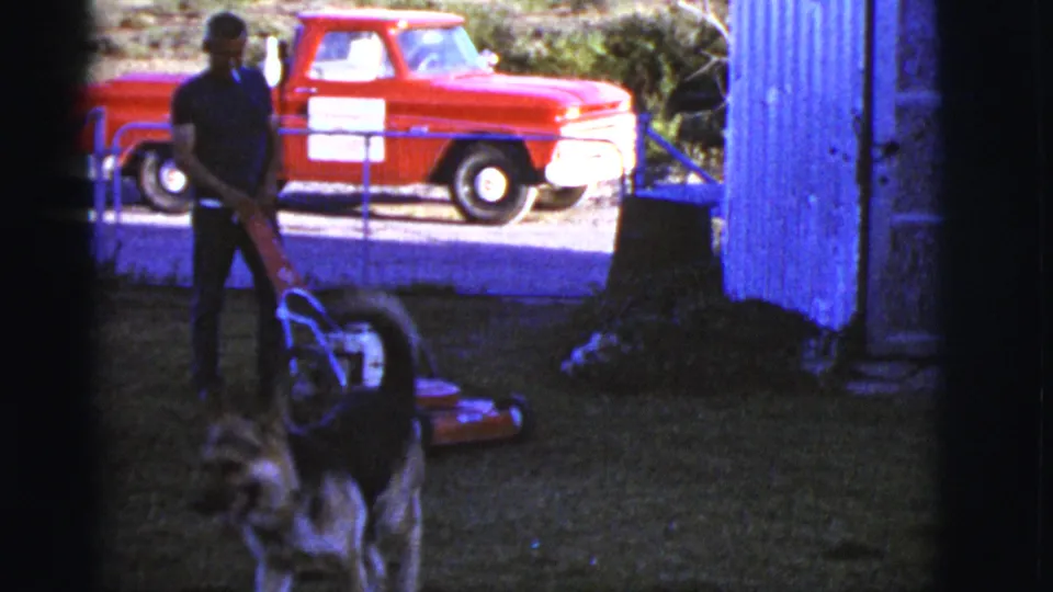 A dog crosses into the shaded foreground as the man stands by the mower, with the red pickup behind the fence.