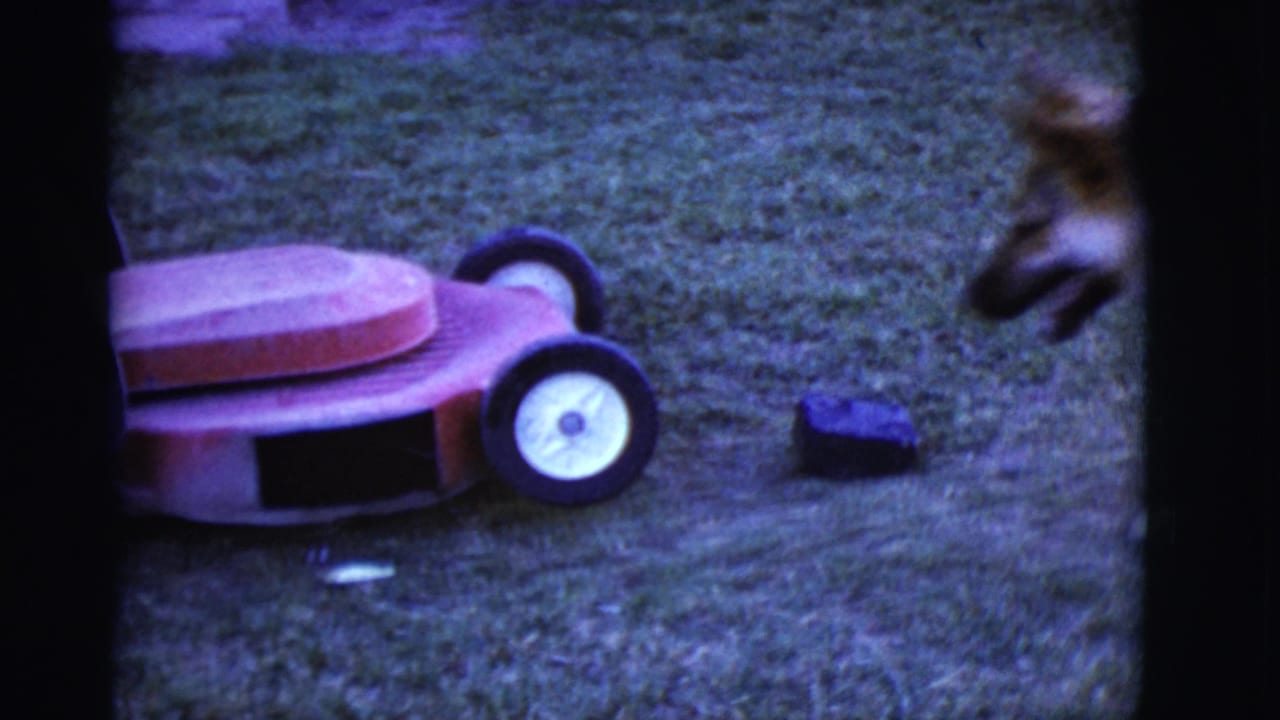 Red lawnmower on grass with a small dark object nearby and part of a dog entering frame.