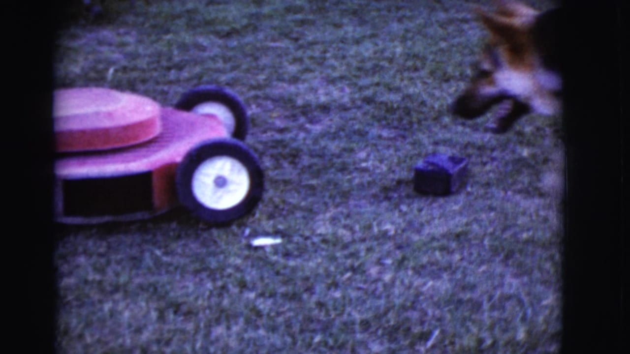 Red lawnmower on grass with a German Shepherd entering from the right.
