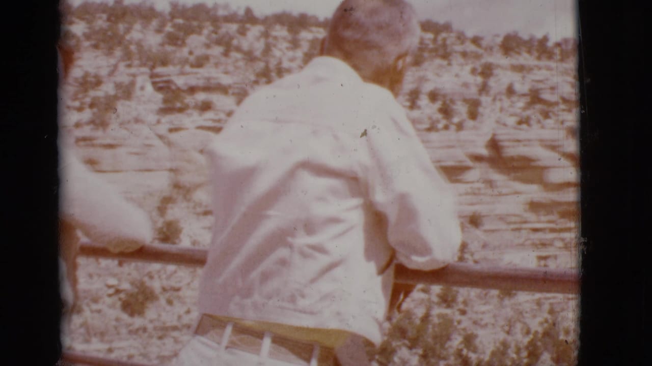 Man seen from behind leaning near a railing above a rocky canyon.