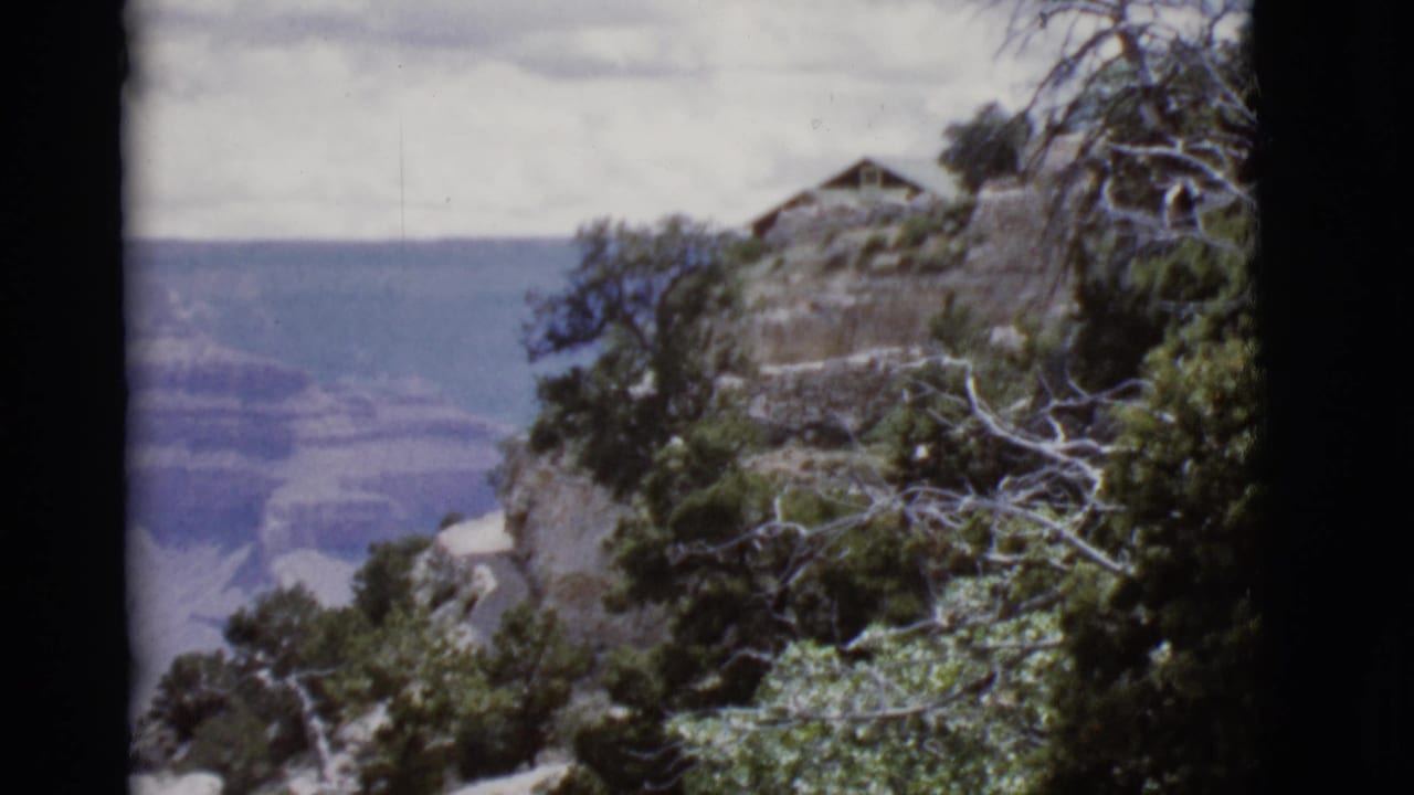Rocky Grand Canyon rim with scrub trees, cloudy sky, and layered canyon walls beyond.