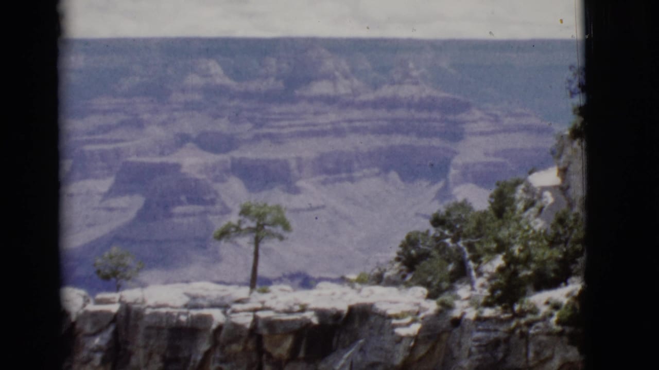 Rocky Grand Canyon rim with a small tree and layered canyon walls beyond.