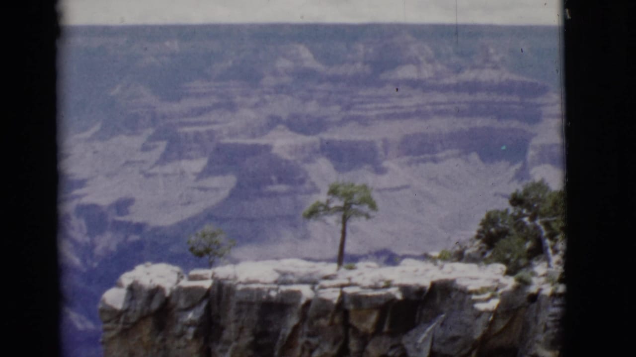Canyon overlook with a single tree, rock ledge, and distant layered formations.