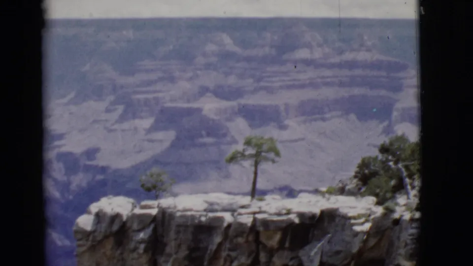 1968 Arizona home-movie frame of a Grand Canyon ledge with a lone tree and broad, hazy canyon walls beyond.
