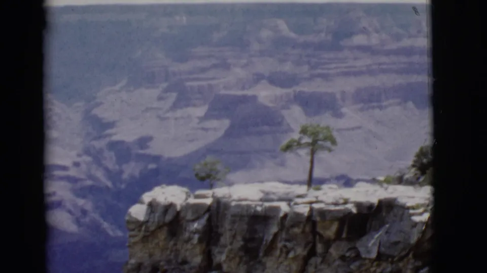1968 Arizona 8mm frame showing foreground trees on a Grand Canyon rim above deep blue-purple canyon shadows.