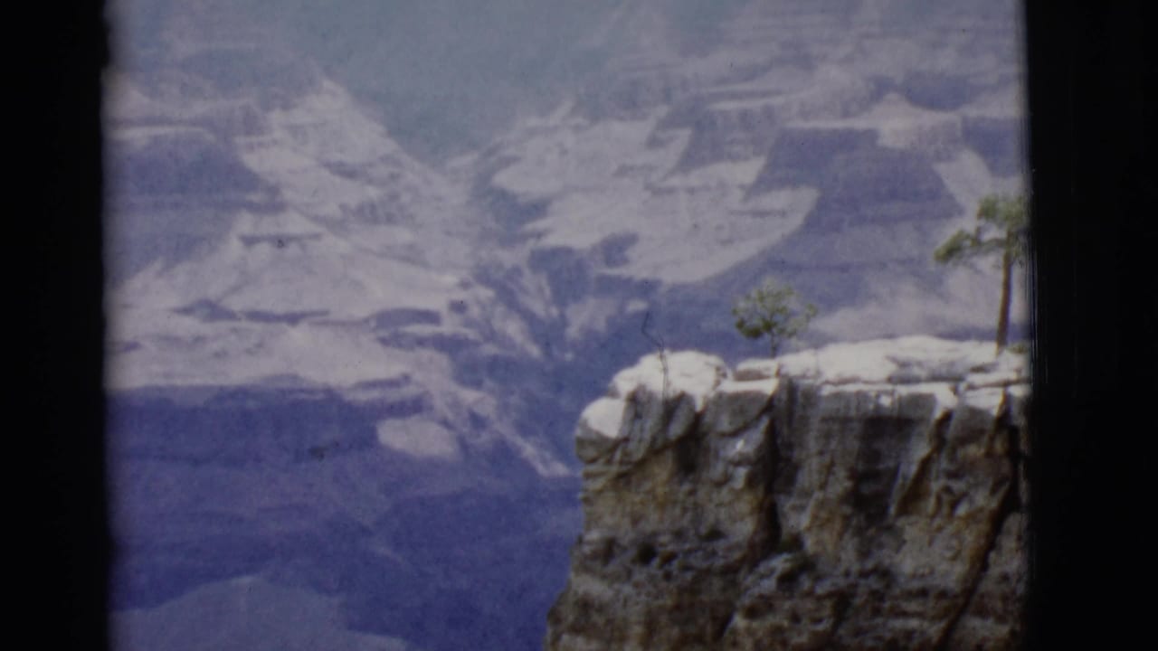 Canyon rim with pale rock ledge, sparse trees, and layered ravine walls beyond.