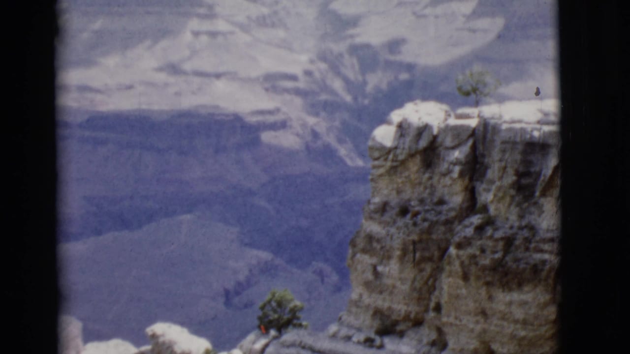 Tall cliff face at right with distant canyon walls and a small tree near the rim.