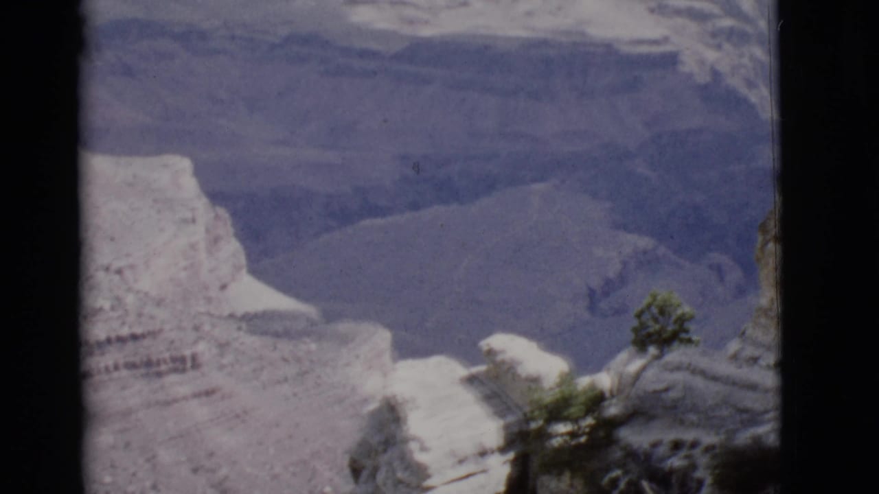 High view across pale canyon rock, a lone tree, and distant layered canyon walls.