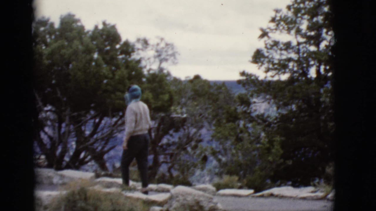 Woman in a blue scarf walks on a stone path near green trees at a canyon overlook.