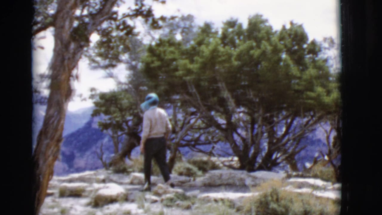 Person walking away on a rocky desert trail among trees.