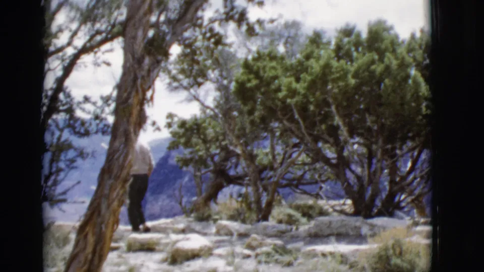 A tree trunk partly blocks the person as they pass through a rocky desert area in the supplied 1968 Arizona clip.