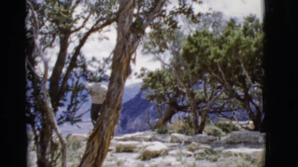 The final frame shows rocky Arizona terrain with trees and mountains, while the walker is mostly obscured near the left side.
