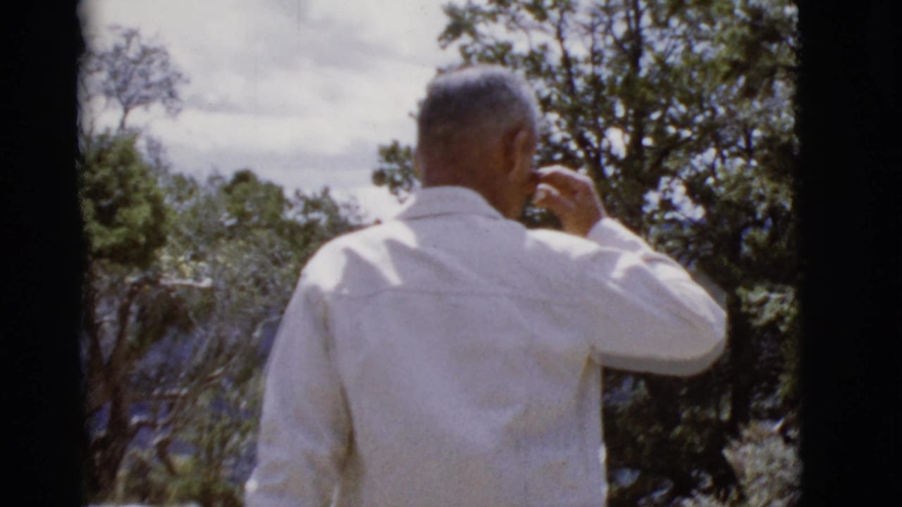 Man in a white shirt stands at a wooded canyon overlook with his hand near his face.
