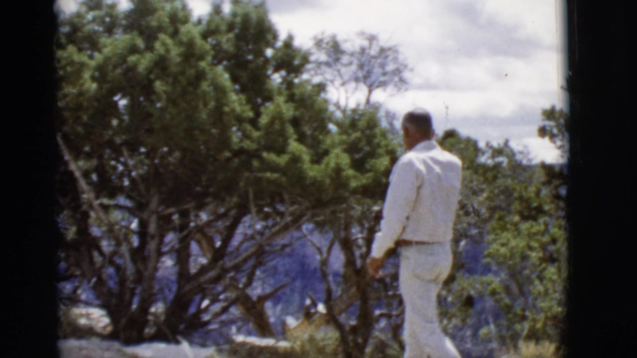 Man in a white suit stands near trees at a mountain overlook.