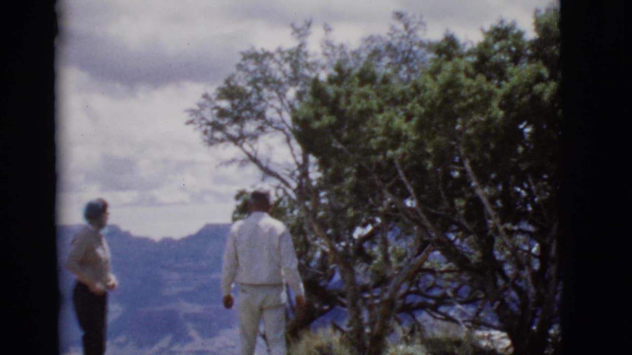 Two adults stand near a canyon overlook beside a large tree under a cloudy sky.
