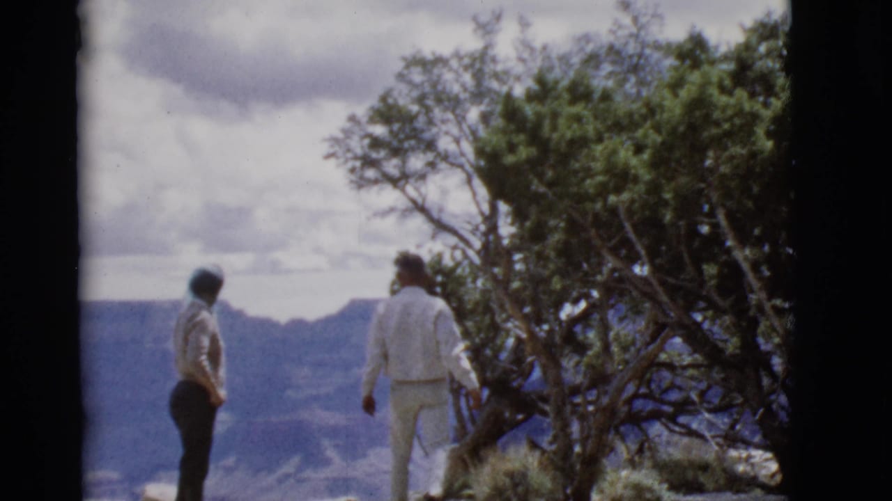 At an Arizona canyon overlook, two older adults face the distant landscape while a juniper-like tree fills the right side.