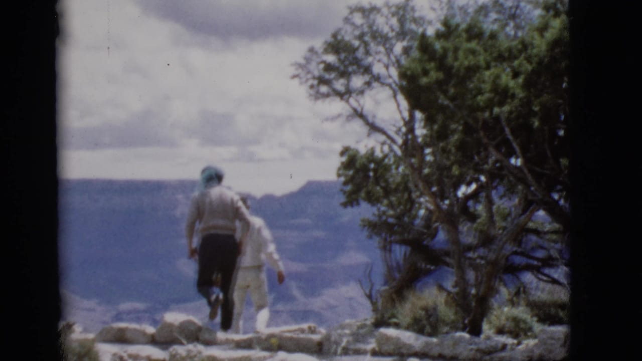 Two adults walk along a rocky canyon overlook beside a tree.
