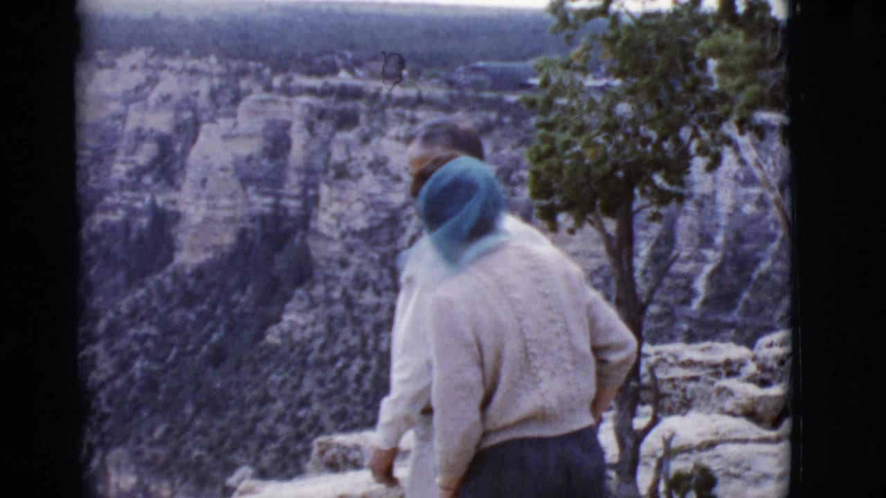 Two adults stand near a rocky canyon ledge with a small tree at right.