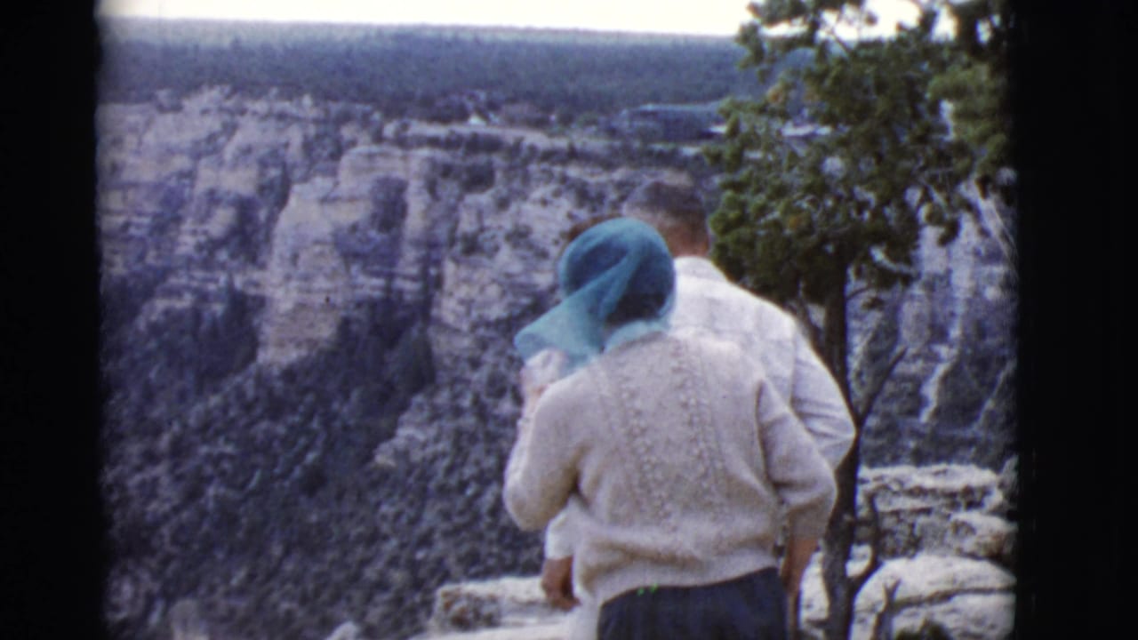 The tourists face a layered Arizona canyon landscape, with rocks and a small tree framing the overlook.