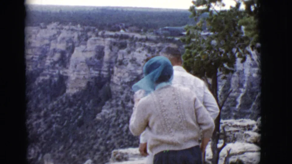 The tourists face a layered Arizona canyon landscape, with rocks and a small tree framing the overlook.