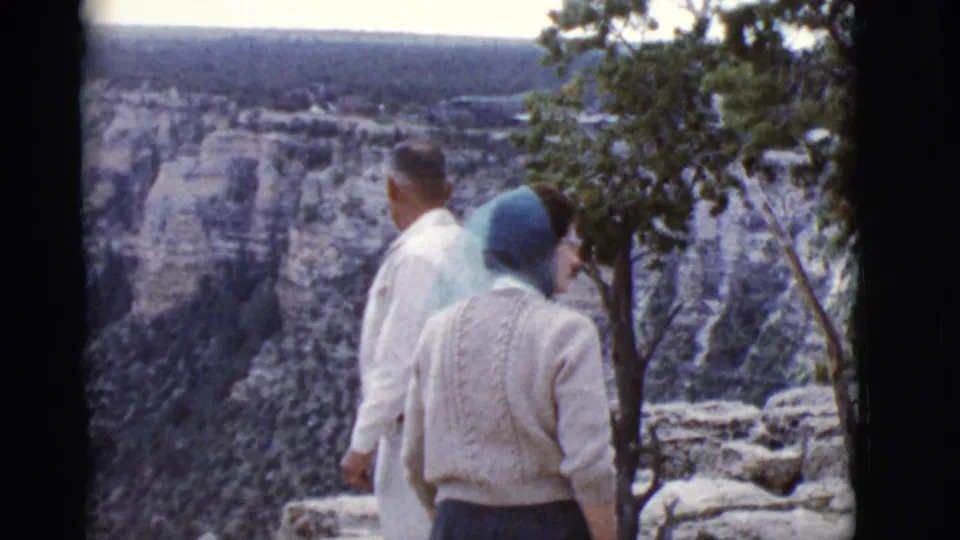 The tourists are seen from behind at a rocky Arizona canyon viewpoint, framed by a small tree and distant layered cliffs.