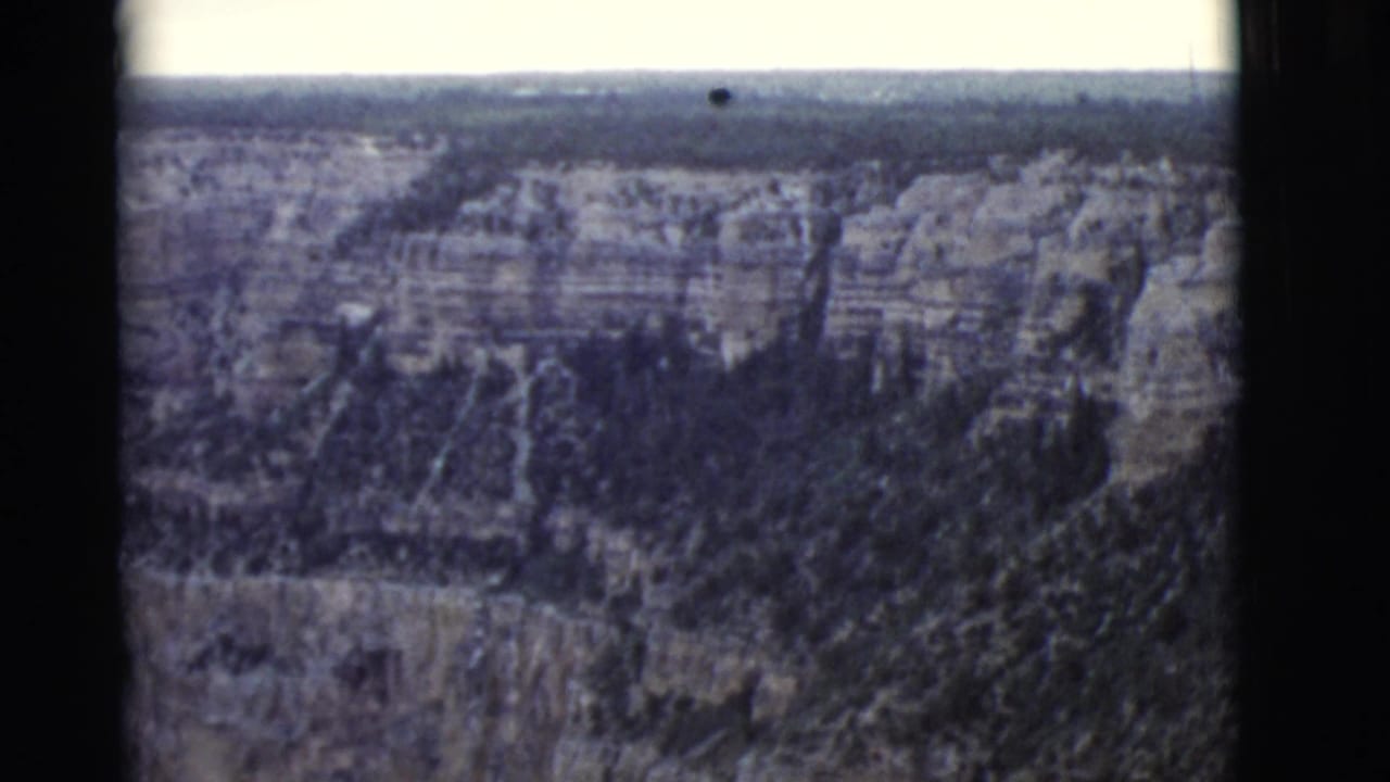 Aerial view of layered canyon walls and forested slopes under a pale sky.