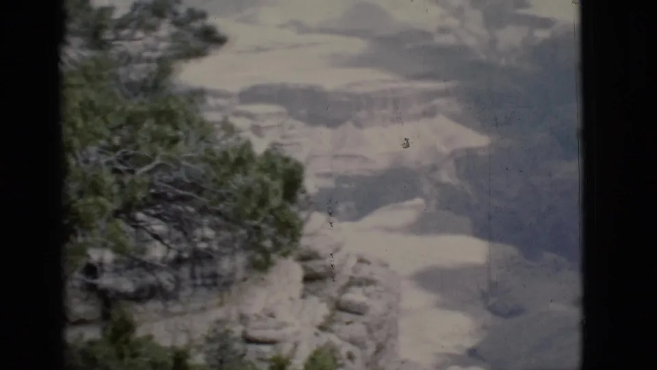 Evergreen tree branches frame a faded 1968 Arizona canyon overlook view on 8mm film.