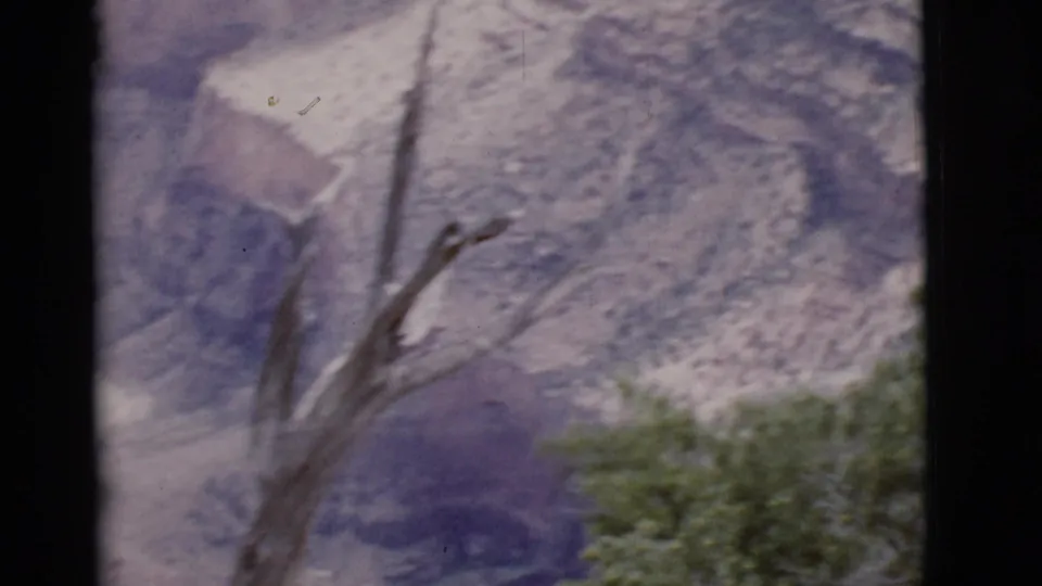1968 Arizona overlook view showing bare branches, green shrubs, and a softly focused rocky mountain landscape on 8mm film.
