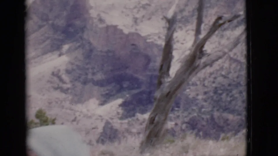 1968 Arizona 8mm frame of canyon walls and a dead tree trunk, with muted color and bright outdoor exposure.