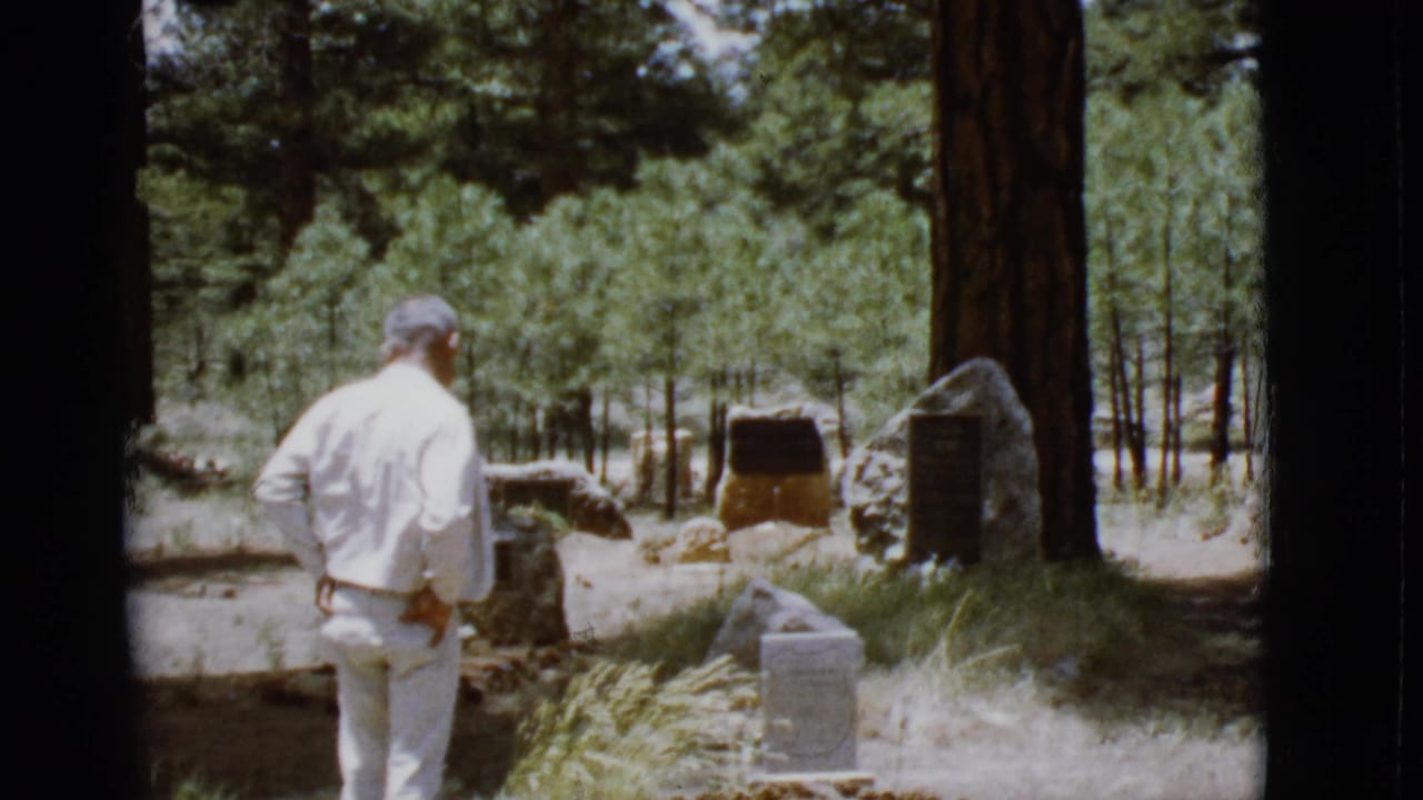 Man seen from behind stands among pine trees and stone monuments.