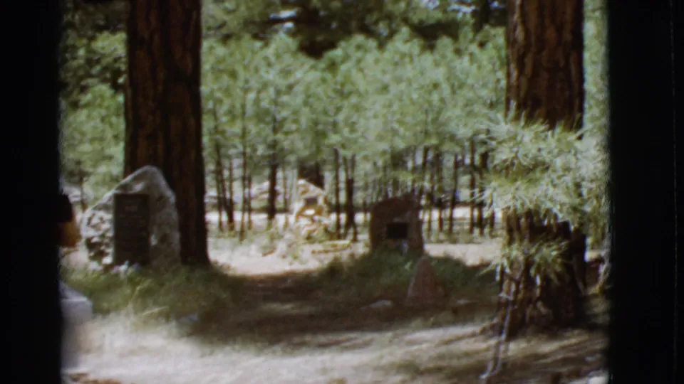 The final frame shows stone markers under tall Arizona pines, with the man only partially visible near the lower edge.