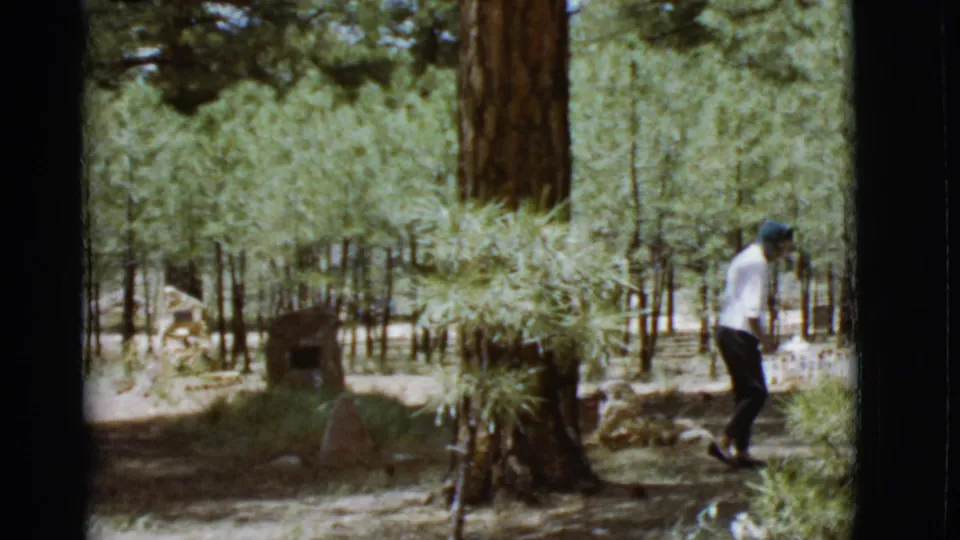 1968 Arizona 8mm frame showing a person in a white shirt walking through a sunlit pine forest with brush and path edges.