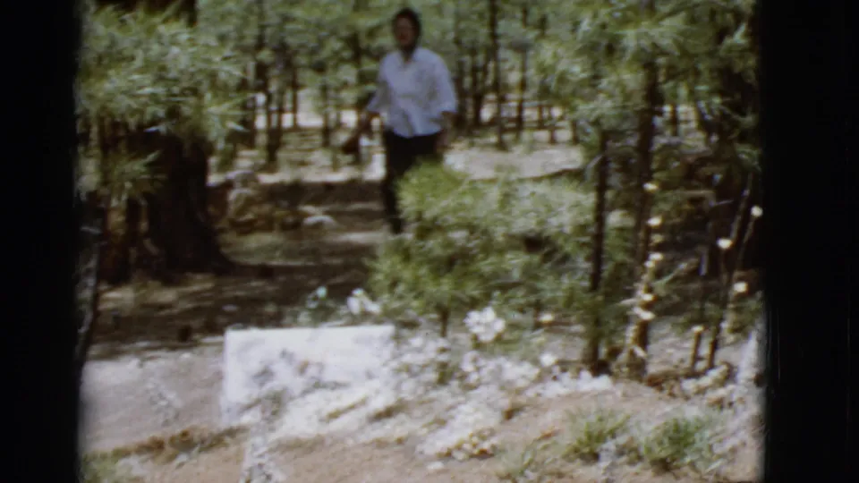 1968 Arizona 8mm frame showing the person walking toward the camera through a wooded path with shrubs, rocks, and tall pines.
