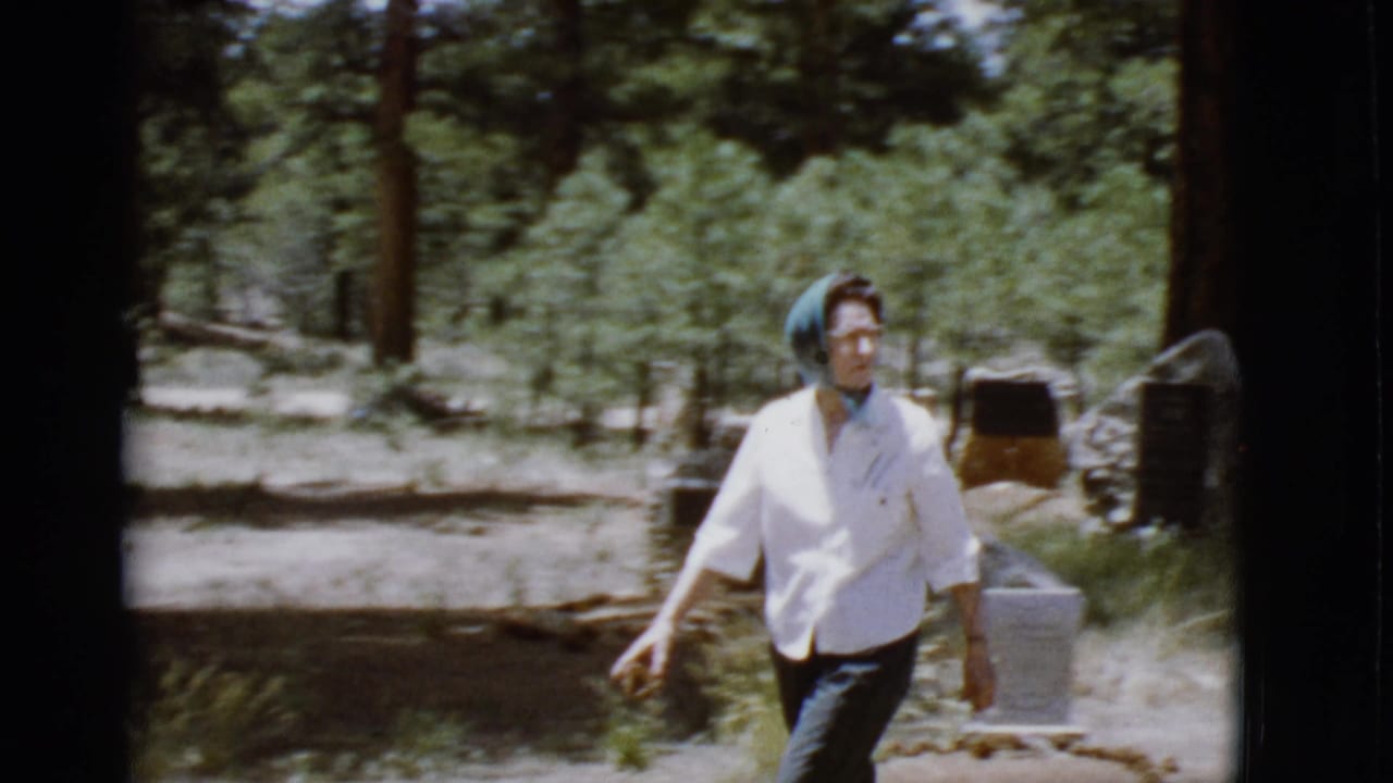 Woman walking through a wooded cemetery area with gravestones and tall trees behind her.