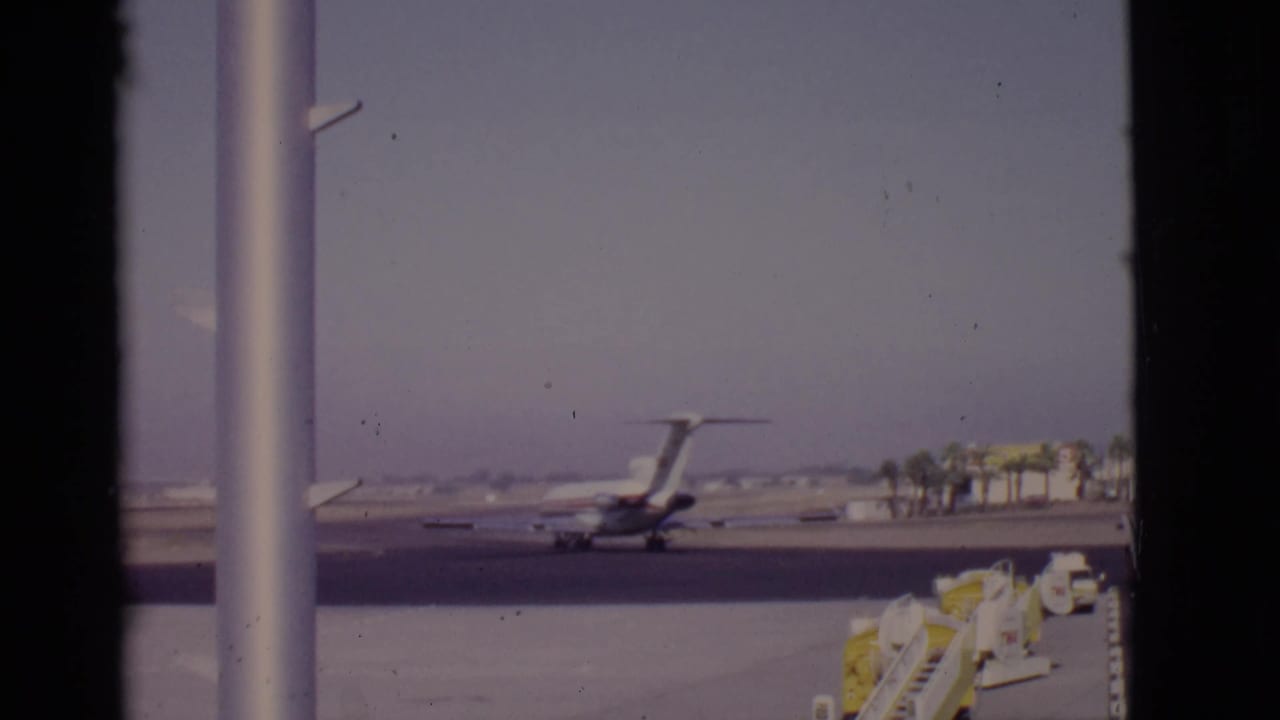 Passenger airplane on the runway with airport equipment and palm trees in the background.
