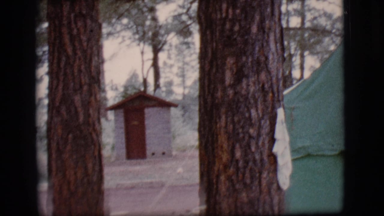 Wooded campground with tree trunks, a small outbuilding, and part of a green tent.