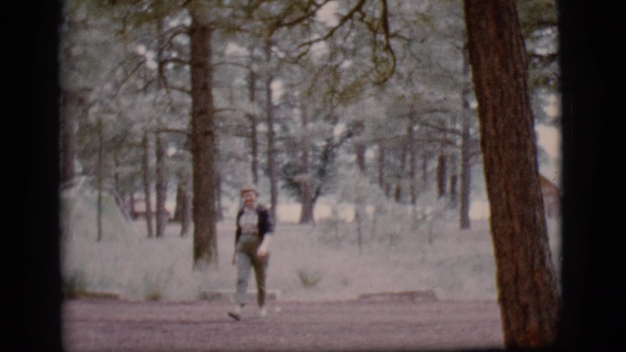 Woman walking on a dirt path through pine trees.