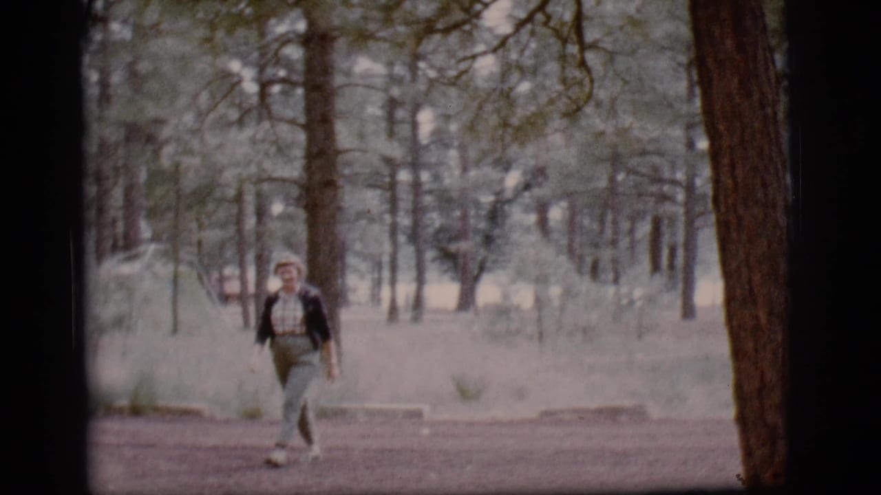 Smiling woman walking between pine trees on a forest path.