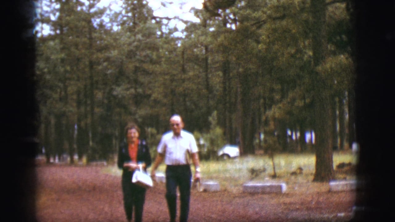 Older couple walking along a dirt path in a pine forest.