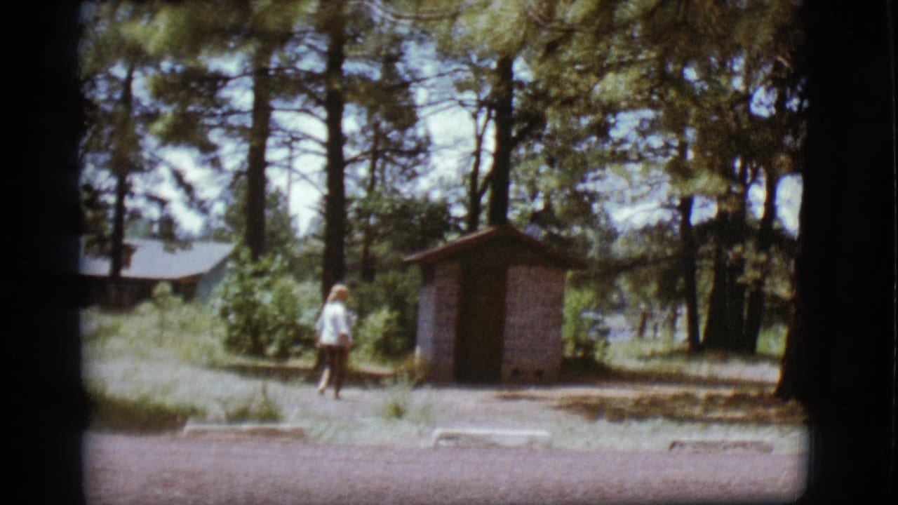 Woman walking near a small brick outhouse among tall pine trees.