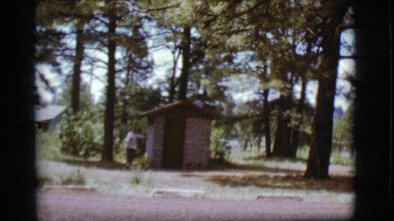 Woman stands near a small shed among tall pine trees.