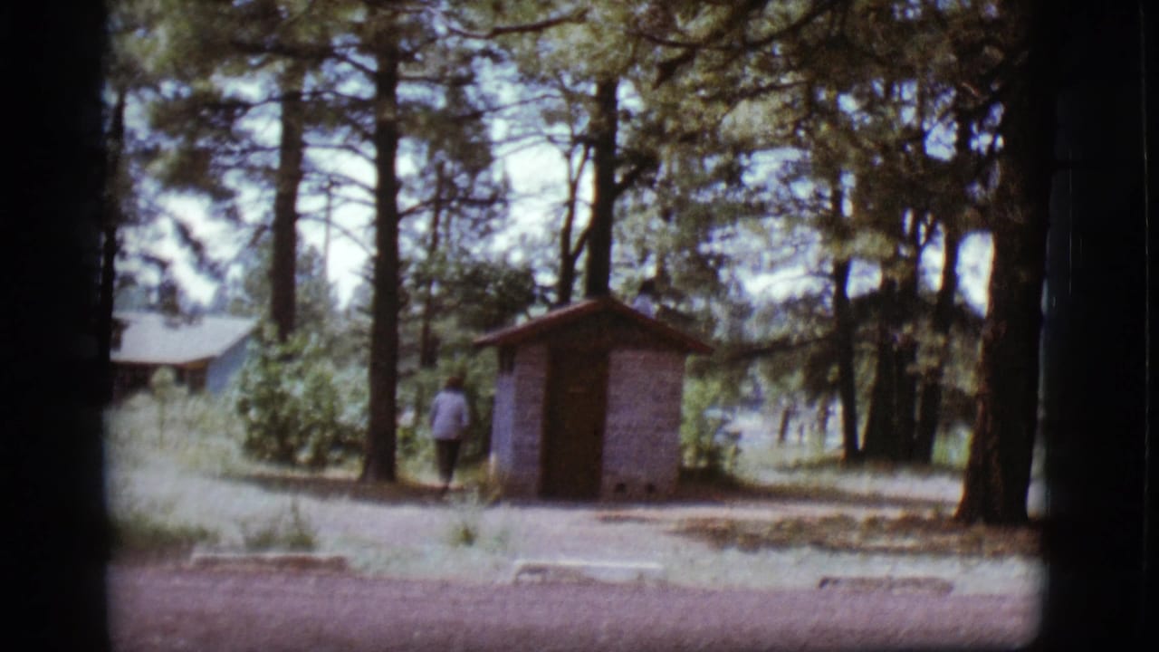 Person walking near a small brick outhouse among tall pine trees.