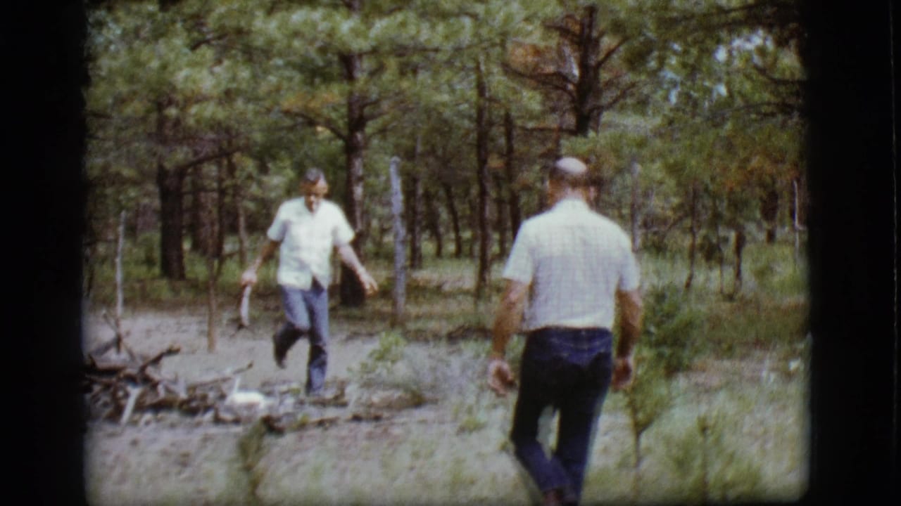 Two men in white shirts and jeans stand in a pine clearing near scattered branches.