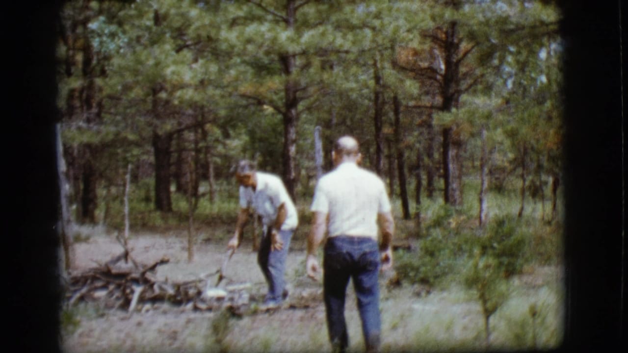 One man bends toward branches while another stands nearby in a wooded clearing.