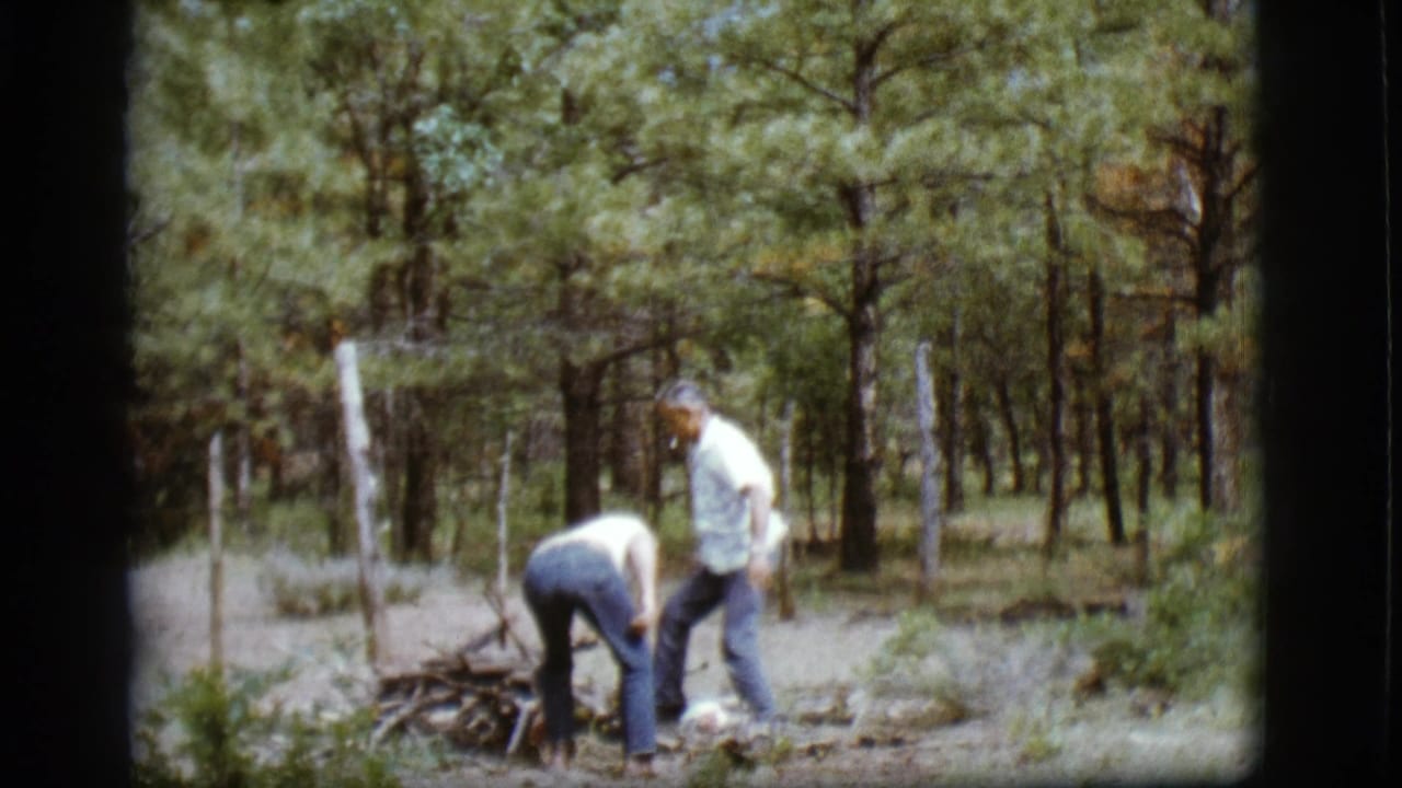 Two men stand and bend near a pile of dry branches in a pine forest.